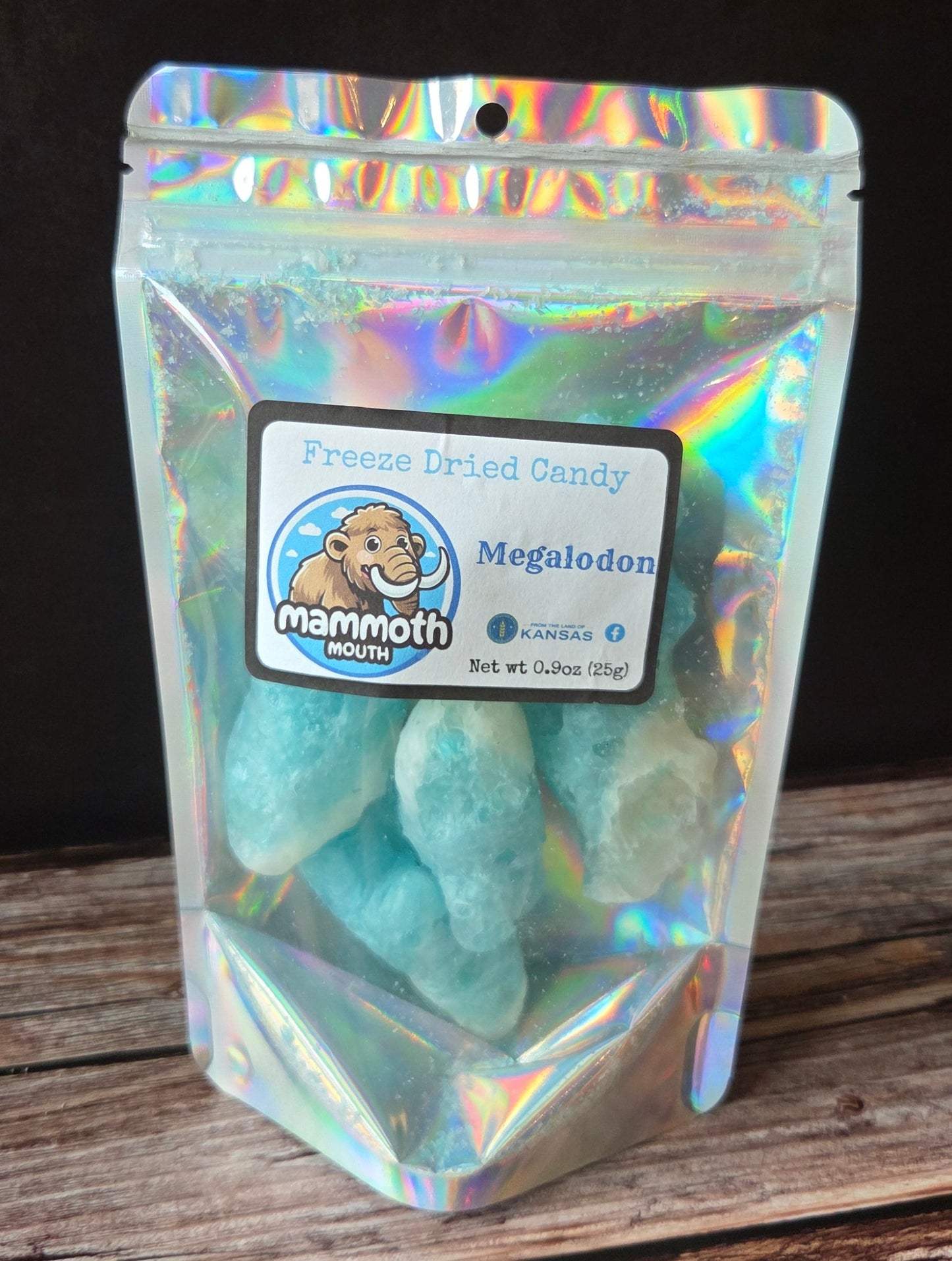 Megalodon