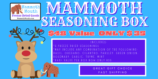 Mammoth Seasoning Box