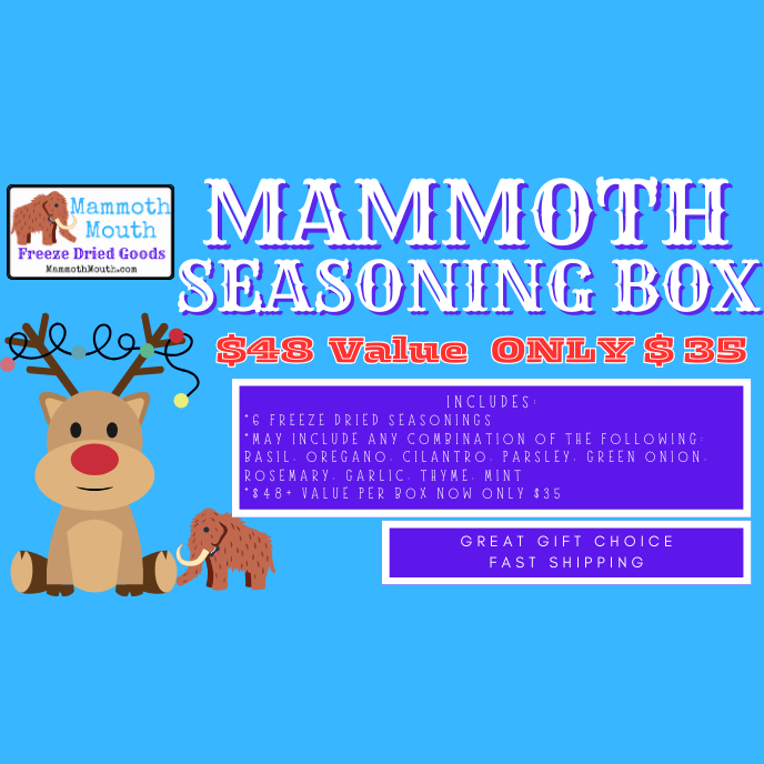 Mammoth Seasoning Box
