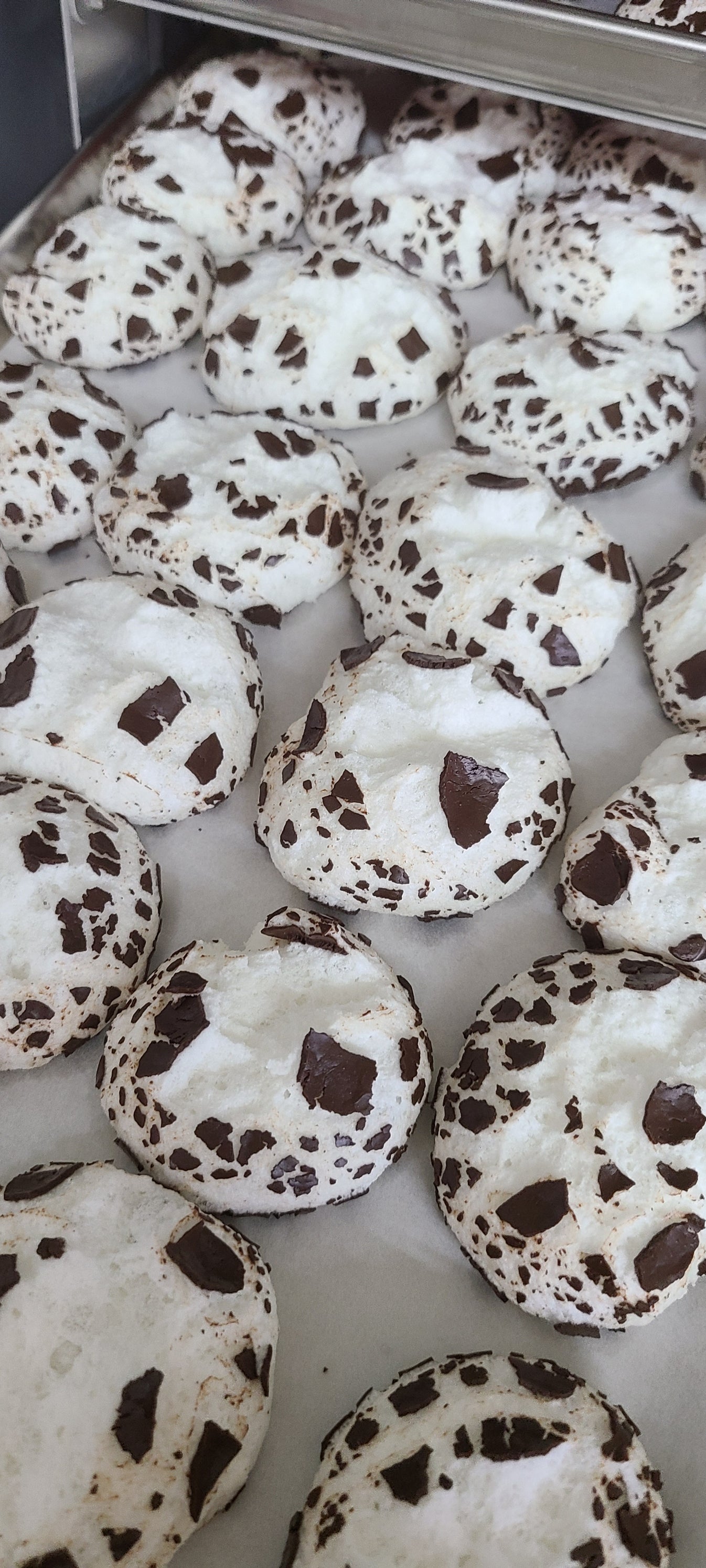 Meadow Muffin Mammoth Mouth