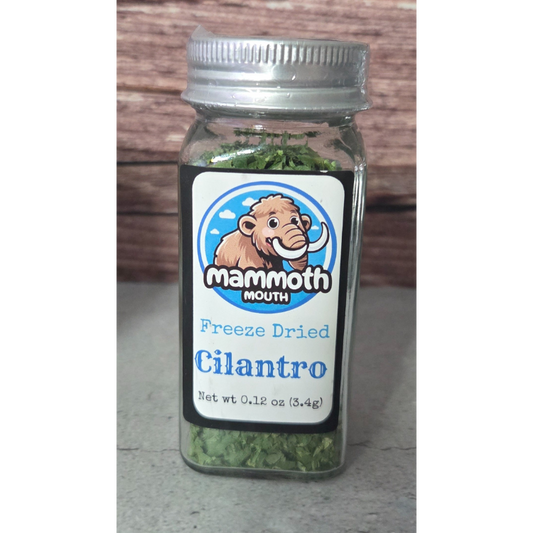 Cilantro