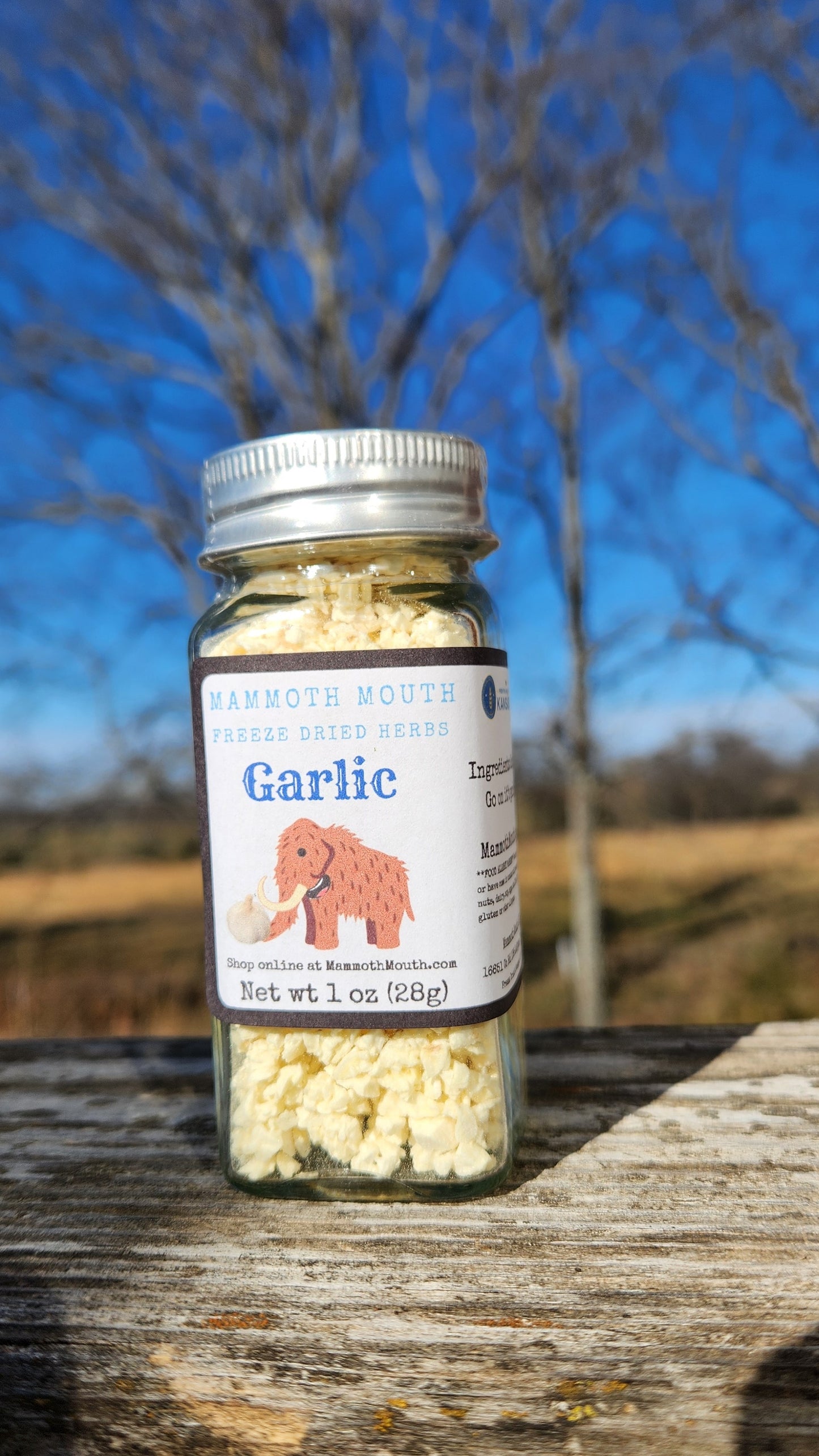 Garlic