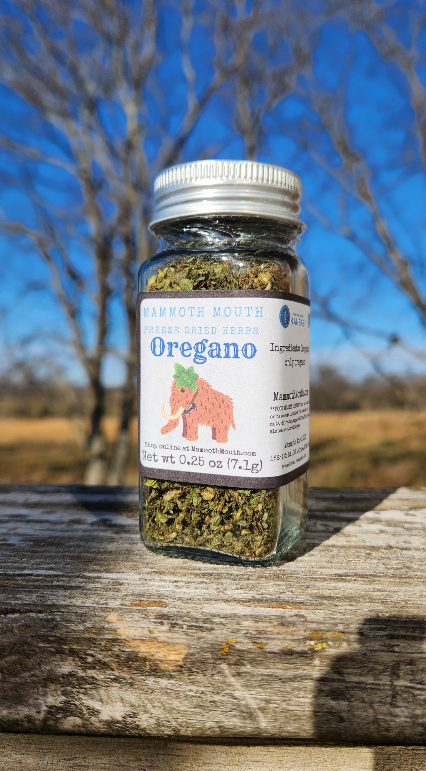 Oregano